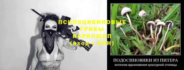 амф Алексеевка