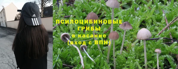 ECSTASY Алексин