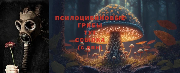 ECSTASY Алексин
