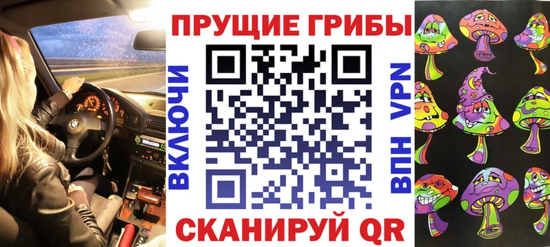где купить наркоту  Калязин  Псилоцибиновые грибы MAGIC MUSHROOMS 